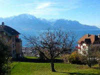 20171114 114658  14 Nov on the way to the garden