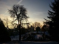 20171115 162858  silhouettes