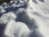 IMG 4127  rime crystals