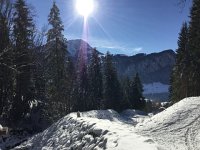 IMG 4130  flood barrier