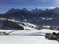 IMG 4136  but still covered with snow