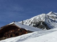 IMG 4142  texture and detail