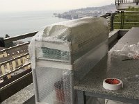 IMG 4146  greenhouse for the seedlings