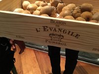 IMG 4155  well stored