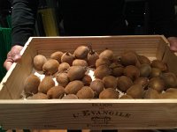 IMG 4156  this year&#39;s production