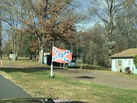 IMG 4190  cultural indicator