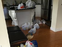 IMG 4200  bags crawling into the kitchen