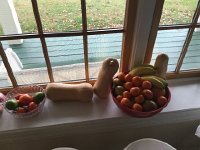 IMG 4202  vegetable window sill