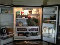 IMG 4204  filling the frigo