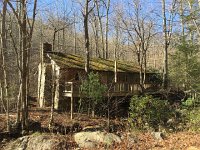 IMG 4278  house in the woods