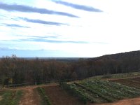 IMG 4326  nice garden!