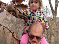 IMG 5964  running the horse into the foliage