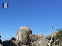 IMG 3228  more panorama