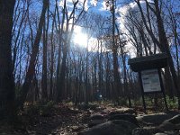 IMG 4335  Some of us went off to climb Old Rag