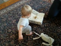 20171123 095644  Liam, lovie and wrapping paper