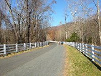 20171123 134017  off for a pre-feast walk in the valley below