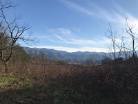 IMG 3143  a beautiful day