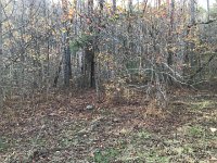 IMG 3146  is this the place?