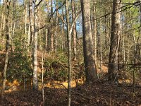 IMG 3151  in this place