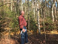 IMG 3152  that claimed much of his attention