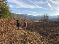 IMG 3175  they follow