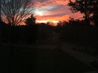 IMG 4366  Morning at the end of the road