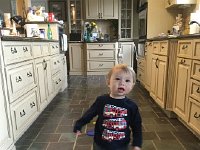 IMG 4378  our little guy