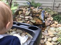 IMG 4379  Liam&#39;s perspective on landscaping ornaments