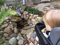 IMG 4380  fishing frogs?