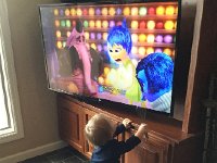 IMG 4391  Liam wants in