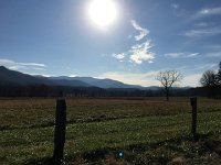 IMG 4411  to spread Francis&#39;s ashes