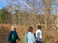 IMG 4413  the community