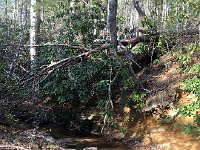 IMG 4416  this seems close