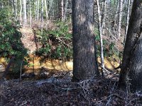 IMG 4422  a deeply American resting place for this Parisian