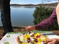 IMG 3210  the flowers