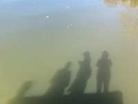 IMG 3242  on the dock