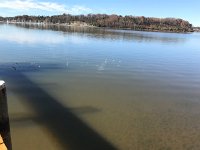 IMG 3248  the spreading of ashes https://youtu.be/gmnQZpcSIIM