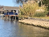 IMG 3265  still they drift