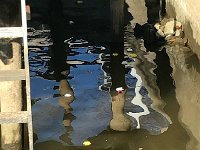 IMG 3299  remember this day