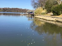 IMG 4452  they drift away