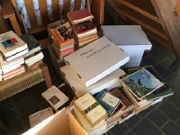 IMG 4458  we separate them into categories