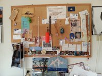 20171130 130531  Last views of the bulletin - a snapshot of daily life