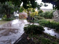 20171110 122946  outside it starts to rain