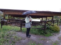 20171110 124107  luckily we came equiped