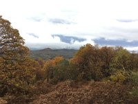 IMG 3995  driving down the mountain