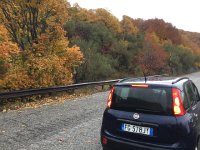 IMG 3998  fall colors