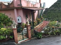 IMG 4023  domestic detail