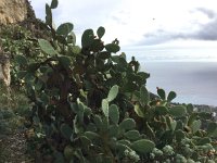 IMG 4028  the real thing