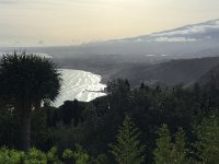 IMG 4062  looking south along the coast