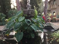 IMG 4089  fountain with fish